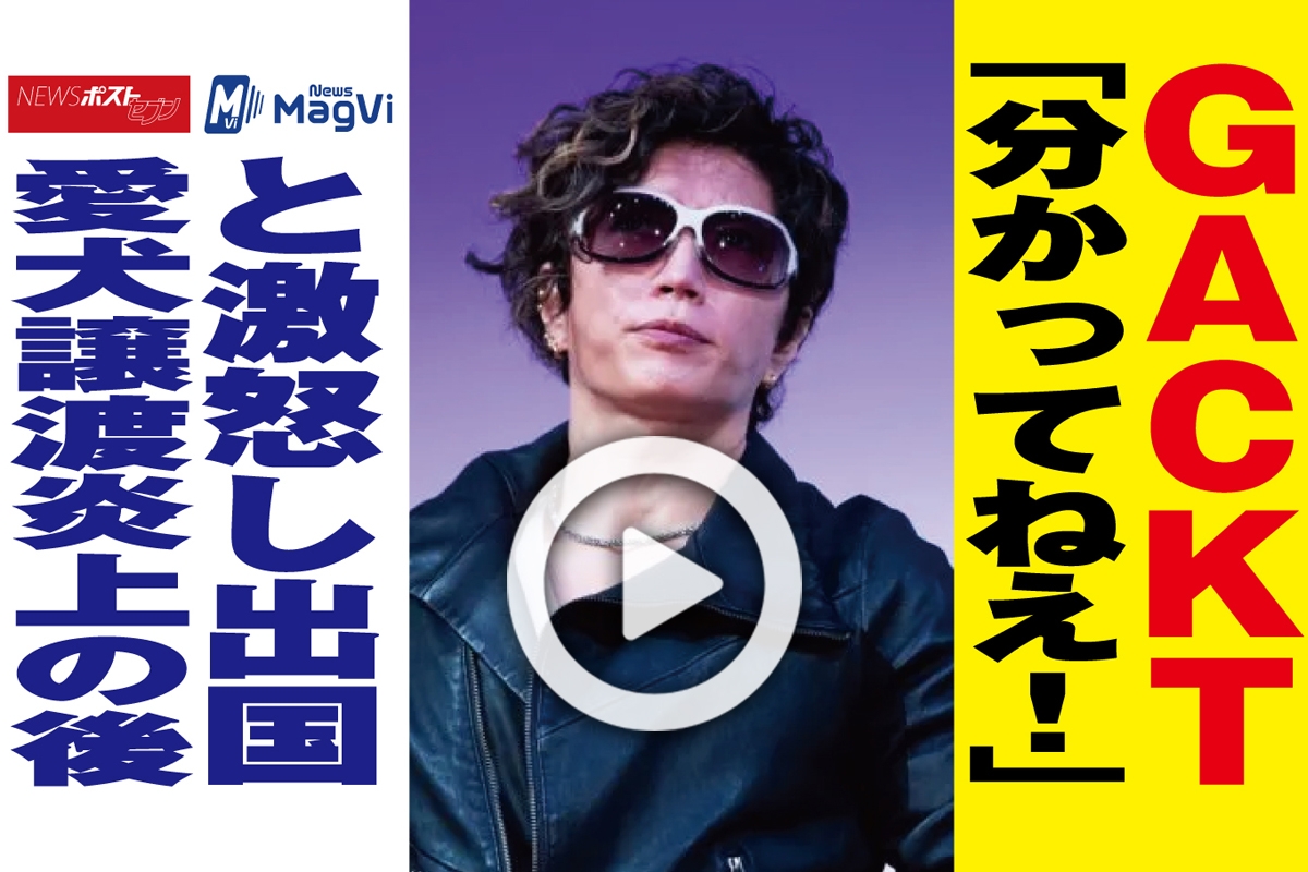 動画 Gackt 分かってねえ と激怒し出国 愛犬譲渡炎上の後 Newsポストセブン