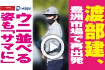 【動画】渡部建、豊洲市場で再出発 ウニ並べる姿も「サマに」