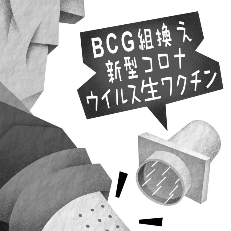 BCGには自然免疫を活性化させる作用があるのではと注目（イラスト／いかわ やすとし）