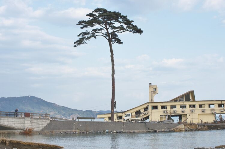 東日本大震災から10年経ち、岩手の街並みはどう変わった？（写真は2011年の5月の“奇跡の一本松”）