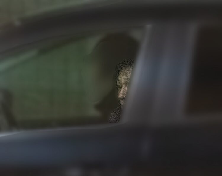 今後の活躍も期待される真剣佑