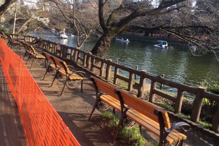 池の畔一帯が閉鎖されている井の頭公園（筆者撮影）