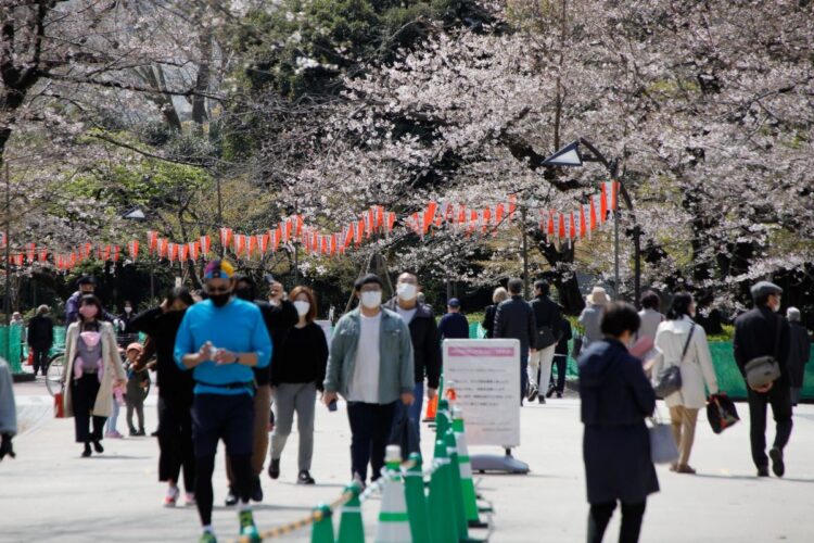 宣言解除で「花見自粛」はナンセンスか（上野公園／撮影・内海裕之）