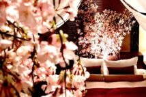 お花見ルームもあるホテル「バリアン」(写真はホテル提供)