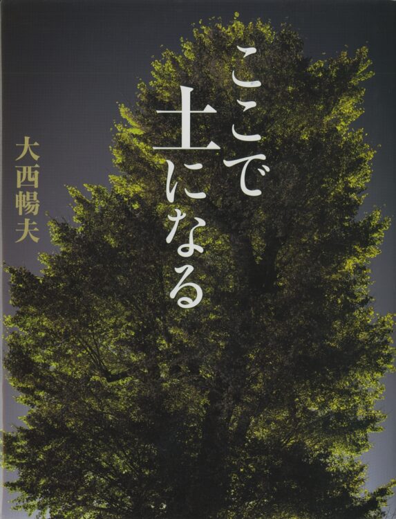 誰もが胸に抱く原風景がここに