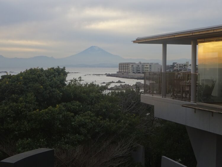 「神奈川県立近代美術館 葉山」の葉山館から眺める夕景が辛酸さんのお気に入り。よくひとりで訪れるという