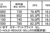 ウイルプラスホールディングス:好ファンダメンタル銘柄として注目