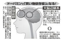 87%が衝動買いを経験 脳科学的に分析する「浪費」のメカニズム