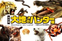 動物たちの「捕食」に注目 テクニックや進化を知る『大地のハンター展』
