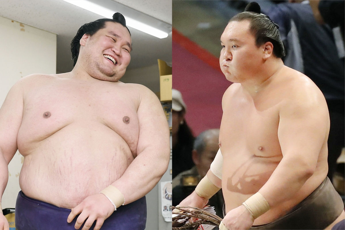 ç…§ãƒŽå¯Œå£«ã¨ç™½éµ¬ã®é–