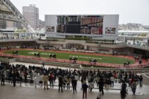 阪神競馬場のパドック