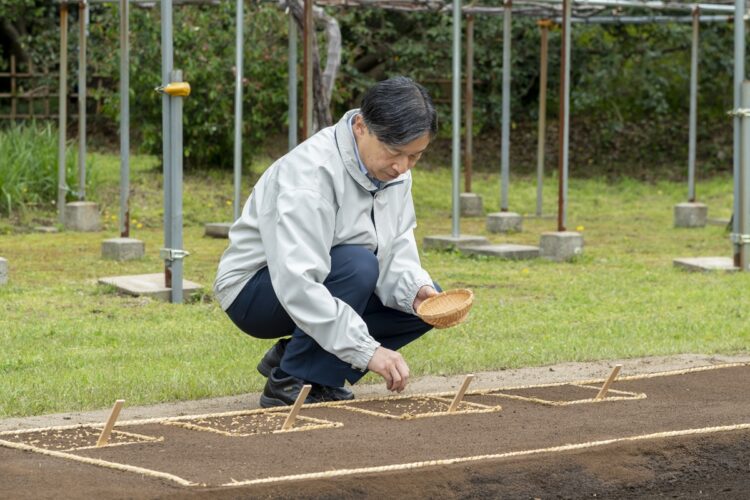 4月6日、皇居内の生物学研究所そばの苗代に種もみをまく「お手まき」をされる天皇陛下。今年最初の稲作行事となる（写真／宮内庁提供）