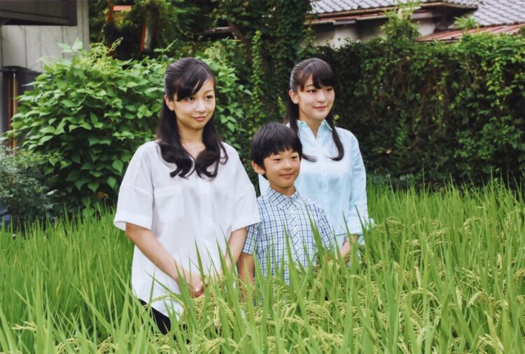 悠仁さまのお誕生日に赤坂御用地内に作られた田んぼの前でご兄弟姉妹でお写真に写られたことも