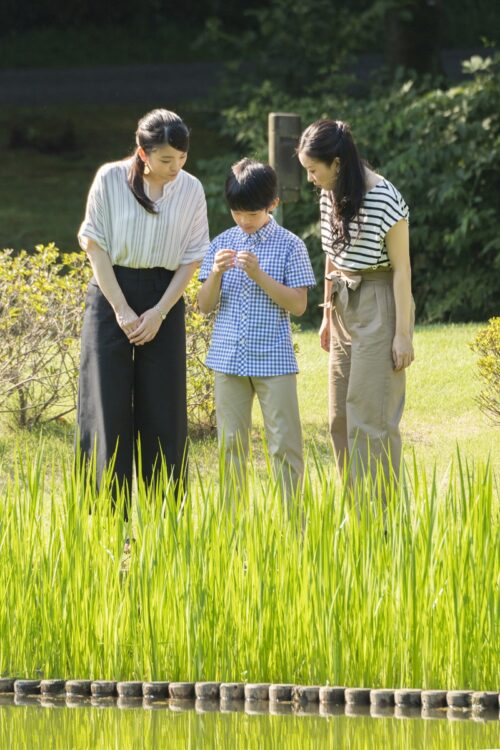 2016年9月にワイドパンツ姿で田んぼに立つ佳子さまら