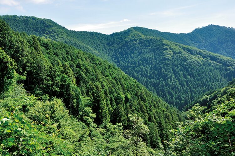 東京が誇る山々