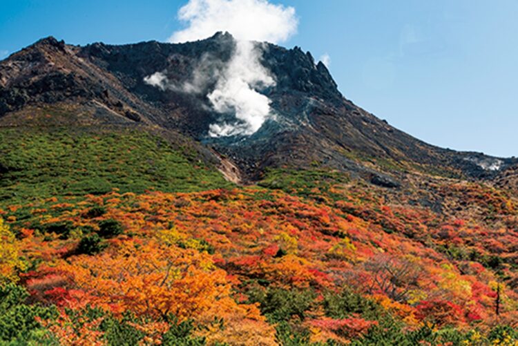 御用邸近くの名峰