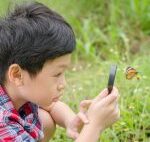 虫好きな子どもは頭がいい理由!あの香川照之も昆虫マニア!