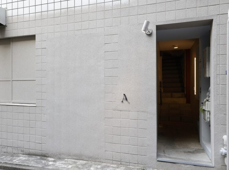 ANTCICADAの独特の外観