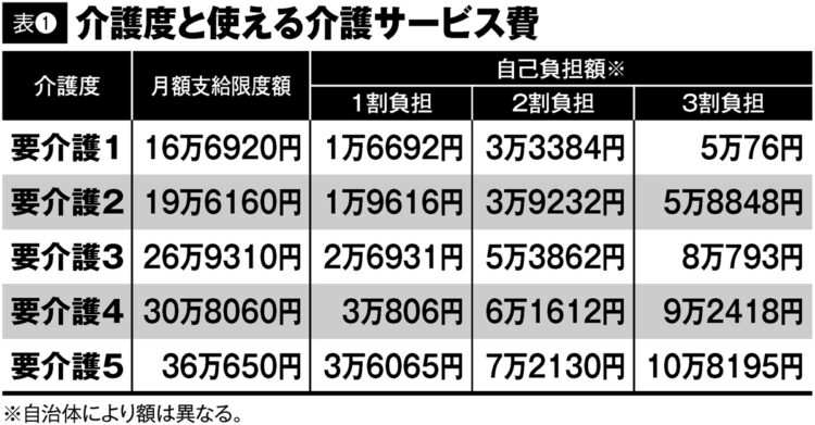 介護度と使える介護サービス費