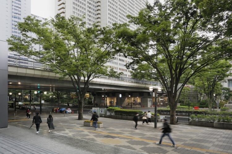 現在、少年野球の行なわれていた場所は中央通りが走る。京王プラザホテルをはじめ、西新宿に進出した企業が協力して街づくりを進め、車道と歩道の完全分離や公共駐車場の設置などを実現した