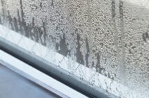 梅雨の湿気でカビやダニが増殖 「住まいの健康被害」に要注意