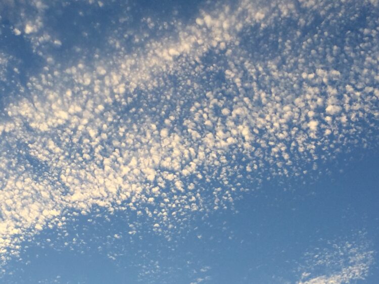 うろこ雲（別名､いわし雲）は2～3日以内に天気が崩れる予兆となる