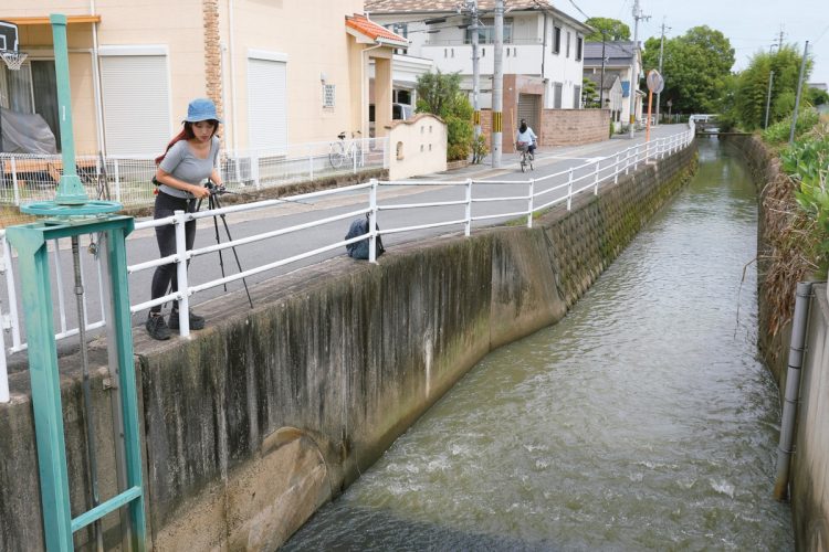 水路に水が流れ込んでいるところや、大きく曲がっているところなど、変化がある箇所を魚は好むのだそう