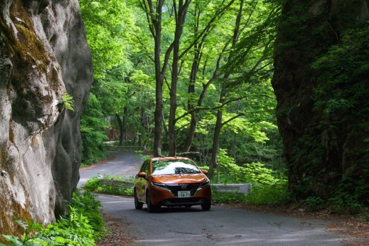 安房峠に続く山岳路の景観はダイナミック（県境は現在閉鎖中）