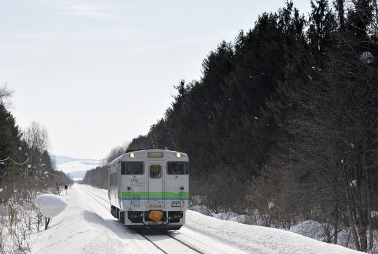 北海道上川郡剣淵町の北剣淵駅付近の鉄道防雪林（時事通信フォト）