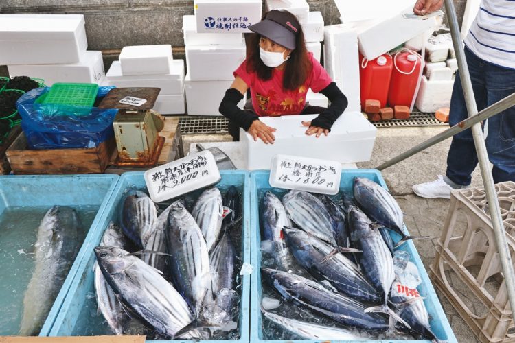 新鮮な魚や野菜がずらり