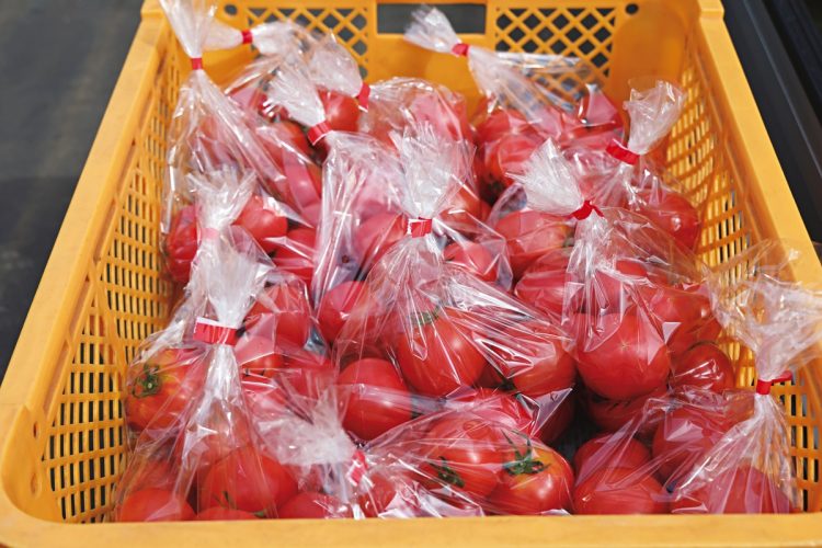 開店前から地元の人々が行列を作って到着を待っている人気のトマトは、トラックの荷台に置かれたまま瞬く間に売り切れた