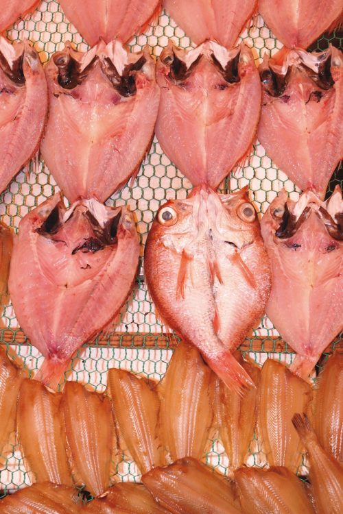 輪島港で水揚げされたノドグロ（アカムツ）など様々な魚が店先で天日干しされている