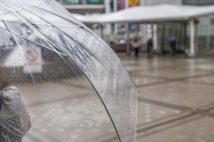 「気づけば家には10本も…」傘をよく忘れる、失くす人たちの諦めの境地