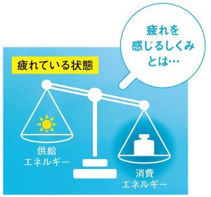 疲れを感じるしくみとは…