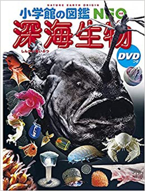 『小学館の図鑑NEO 深海生物 DVDつき』