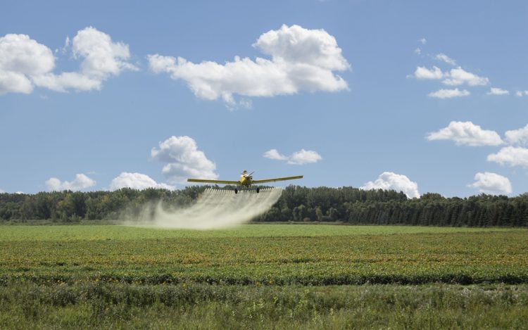 アメリカからの輸入大豆は、除草剤で枯れない耐性をつけるため遺伝子組み換えが行われた（写真／Getty Images）