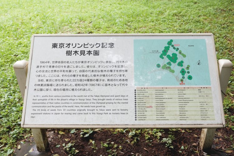 東京オリンピック記念樹木園（渋谷区代々木神園町）：記念宿舎の周囲には、五輪に参加した各国の代表的な樹木が種子から育てられ、植えられている