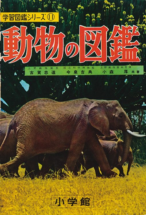 『小学館の学習図鑑シリーズ 動物の図鑑』（1958年刊）