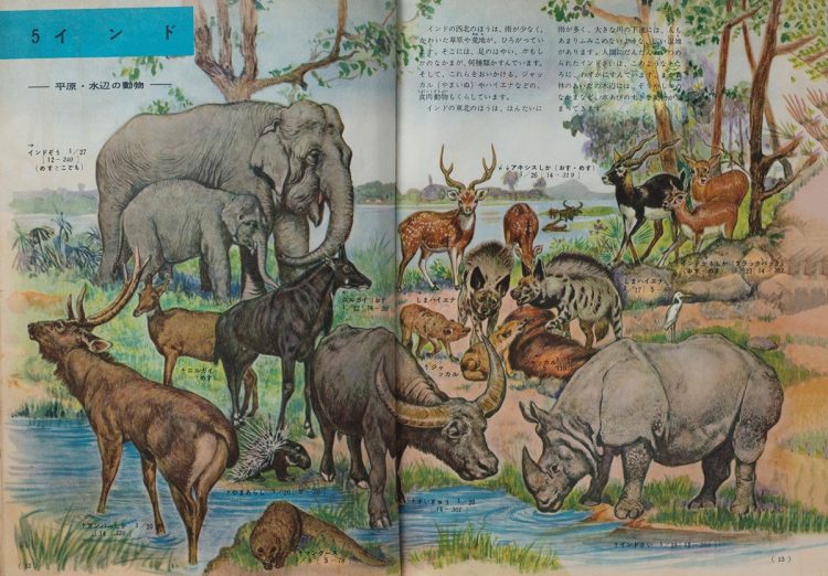 『小学館の学習図鑑シリーズ 動物の図鑑』（1958年刊）から。インドの平原・水辺の動物を描いたパノラマ画