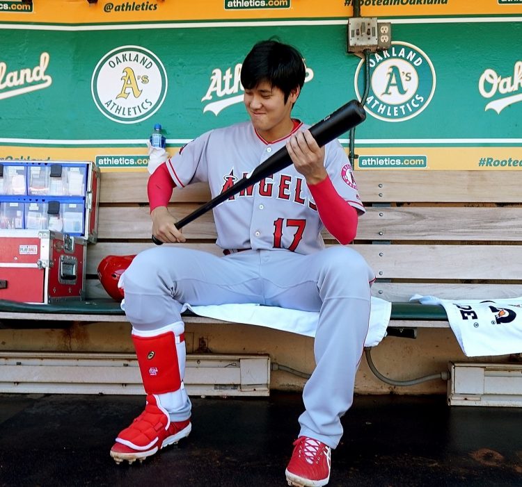 大谷翔平の家に、活躍の秘密があるのか(写真/Getty Images)