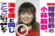 【動画】離婚目前の小林麻耶、海老蔵と同じマンションに引っ越しも？