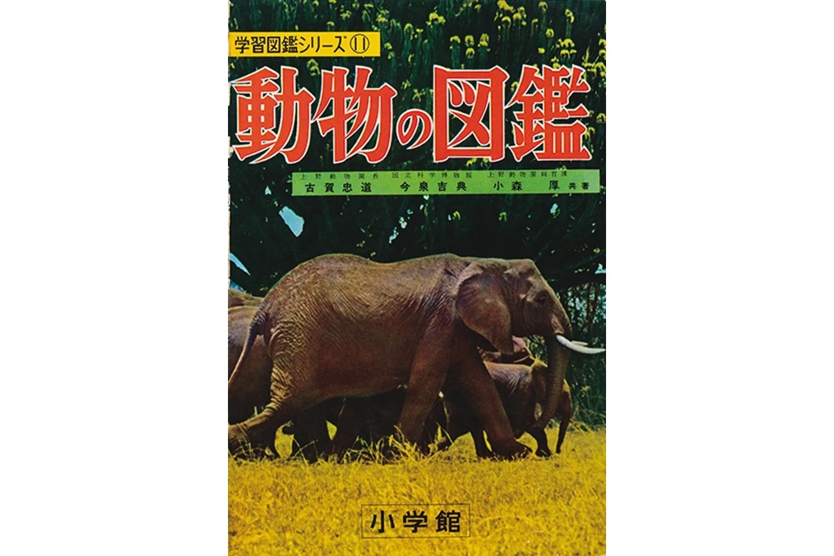 子供向け学習図鑑は日本独自に発展「他国の同類書籍を見たこと 子供向け学習図鑑は日本独自に発展「他国の同類書籍を見たこと
