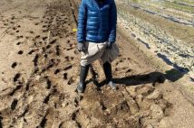 熊谷真実、昨年から静岡に移住して野菜作りに挑戦　「学びが多いです」