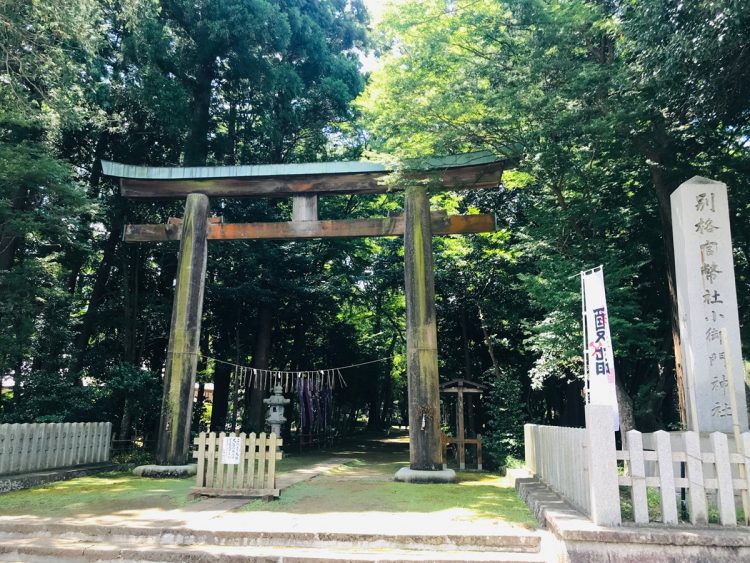 県の天然記念物「小御門神社の森」にある大鳥居をくぐると荘厳な神社が（写真／小御門神社提供）