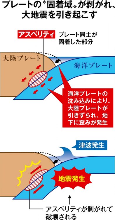 地震予知研究を進歩させた新概念「アスペリティ」