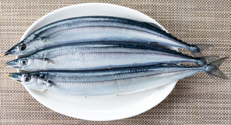 青魚には血栓ができるのを防ぐEPAが豊富に含まれれる