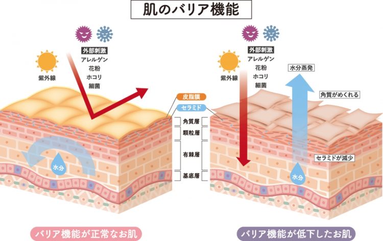 日々の洗顔の際、ダメージを減らすことが大切
