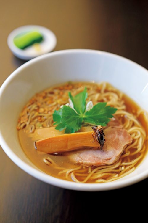「ANTCICADA」が日曜限定で提供する「コオロギラーメン」(1100円)。1杯に2種類の国産コオロギ約160匹が使われている。トッピングは、店で飼育するコオロギを素揚げする。麺にはグリラスの徳島県産フタホシコオロギの粉末が練り込まれている(撮影/矢野宗利)