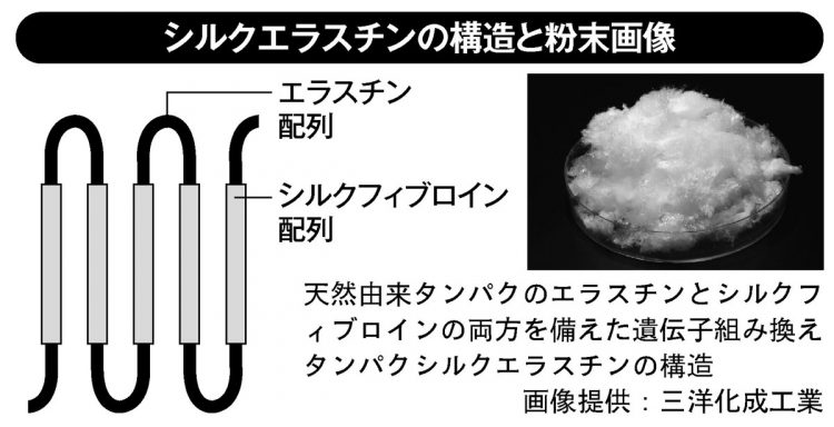 シルクエラスチンの構造と粉末画像