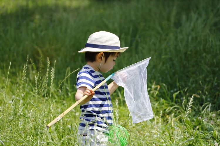 「セミ捕り」が夏の風物詩から消えるなど気候変動によって生活に変化が生じつつある